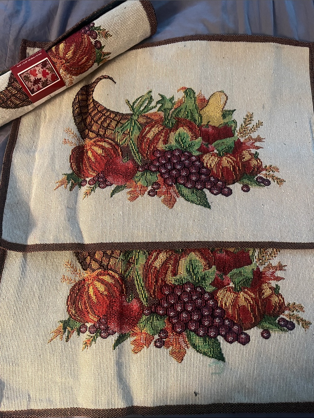 NWT Harvest Cornucopia placemats. - Cream & Brown